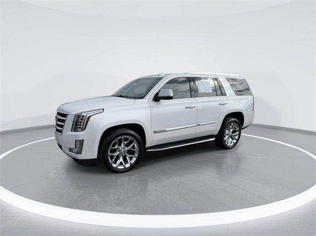 2020 Cadillac Escalade Vehicle Photo in BOWLING GREEN, KY 42104-4102