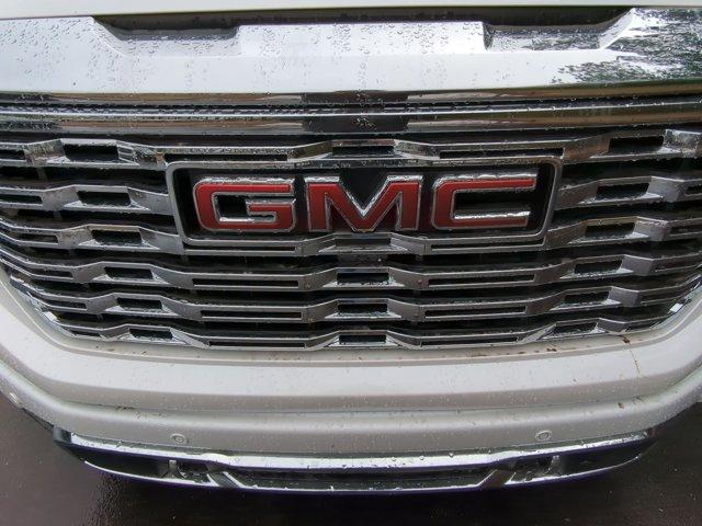 2025 GMC Sierra 1500 Vehicle Photo in ALBERTVILLE, AL 35950-0246