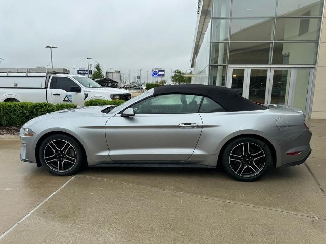 2023 Ford Mustang Vehicle Photo in San Antonio, TX 78230