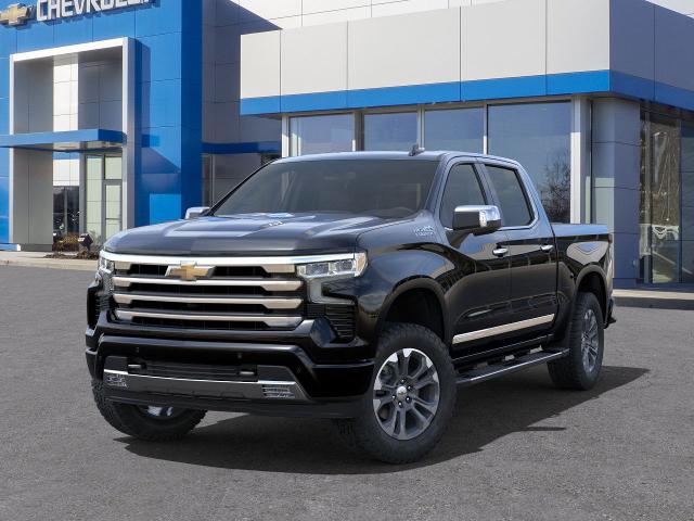 2025 Chevrolet Silverado 1500 Vehicle Photo in DANBURY, CT 06810-5034