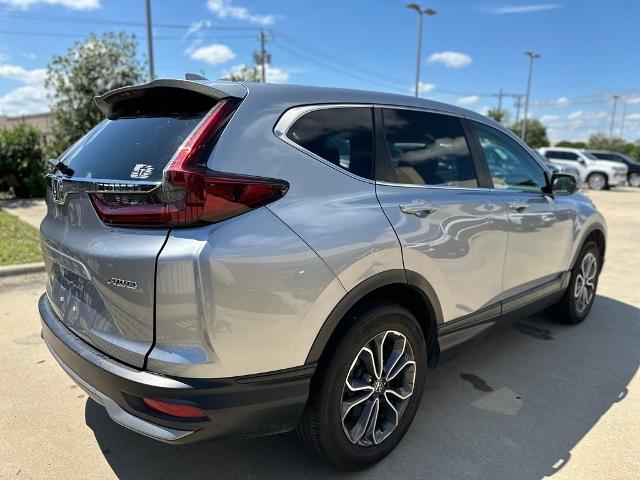 2020 Honda CR-V Vehicle Photo in San Antonio, TX 78230