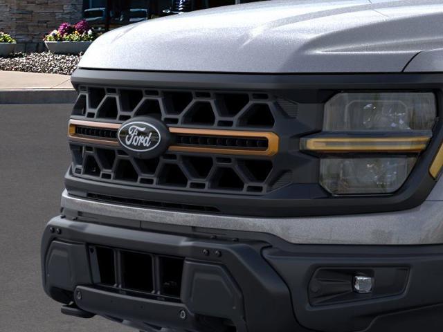 2025 Ford F-150 Vehicle Photo in Weatherford, TX 76087