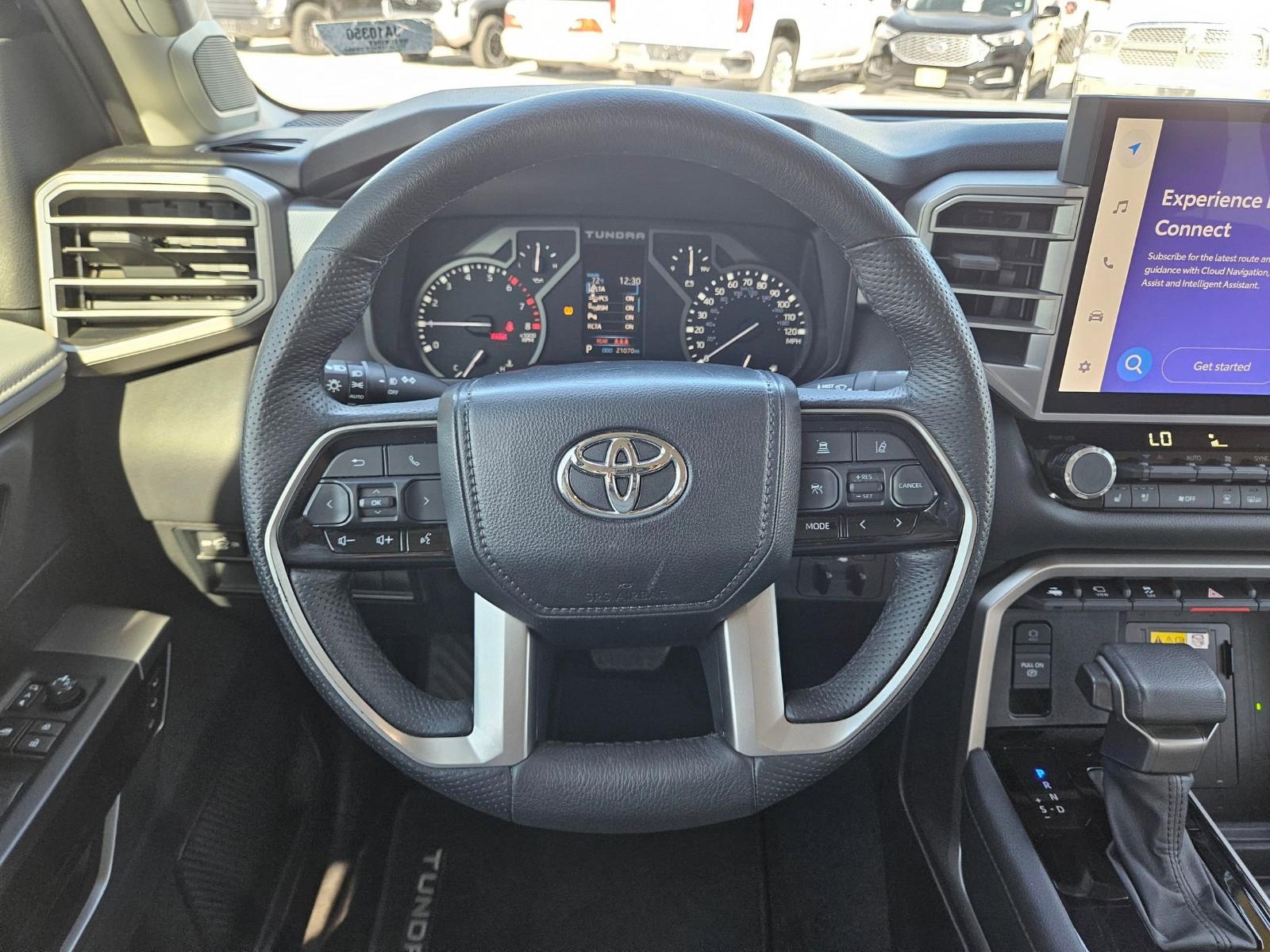 2023 Toyota Tundra 4WD Vehicle Photo in Seguin, TX 78155