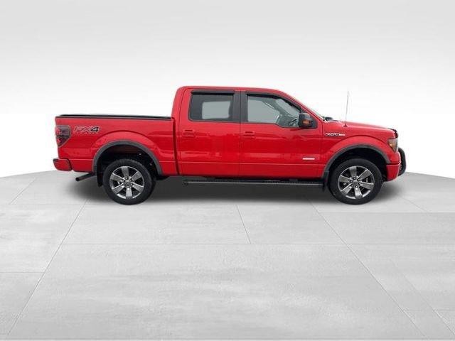 2012 Ford F-150 Vehicle Photo in MEDINA, OH 44256-9631