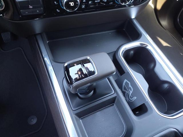 2025 GMC Sierra 1500 Vehicle Photo in Denton, TX 76205