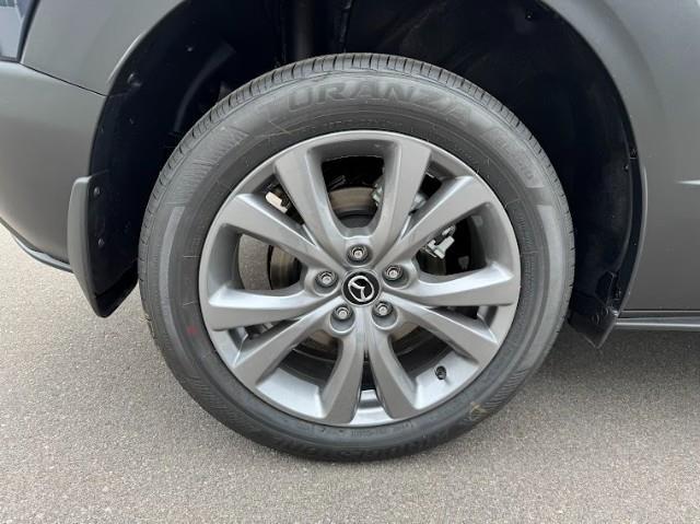 2025 Mazda CX-30 Vehicle Photo in Green Bay, WI 54304