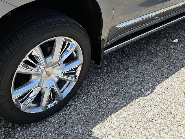 2025 Chevrolet Silverado 1500 Vehicle Photo in SAN ANGELO, TX 76903-5798