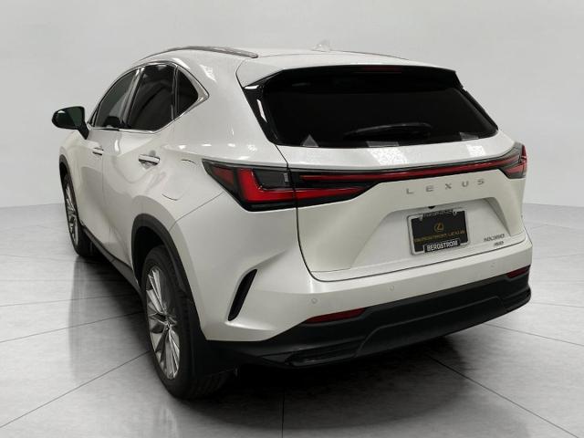 2024 Lexus NX 350 Vehicle Photo in Appleton, WI 54913