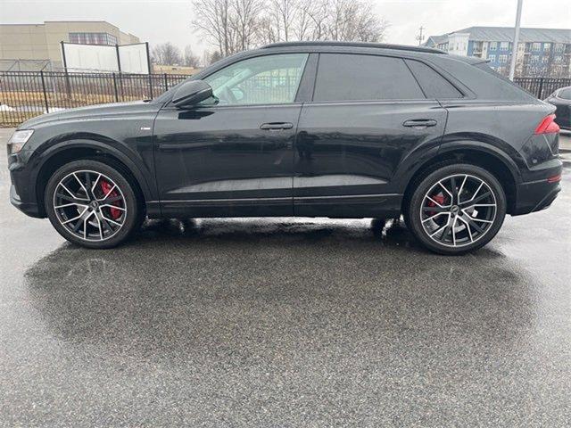 2022 Audi Q8 Vehicle Photo in Willow Grove, PA 19090