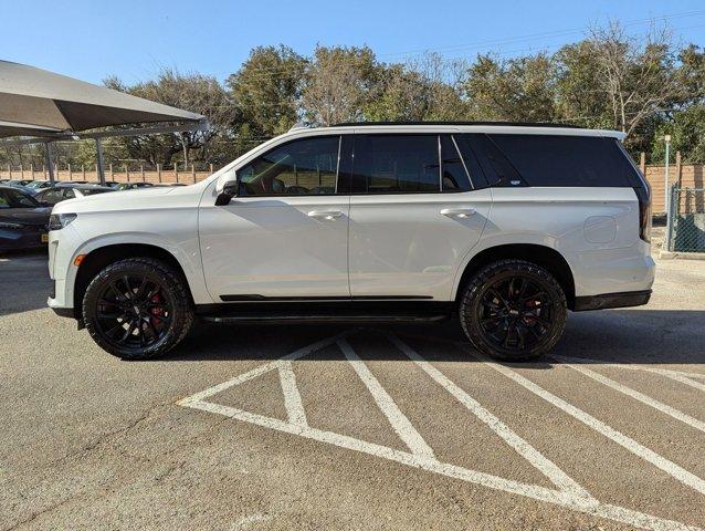 2021 Cadillac Escalade Vehicle Photo in San Antonio, TX 78230