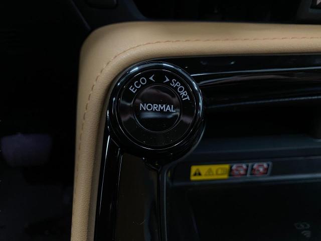 2025 Lexus NX 350 Vehicle Photo in Appleton, WI 54913