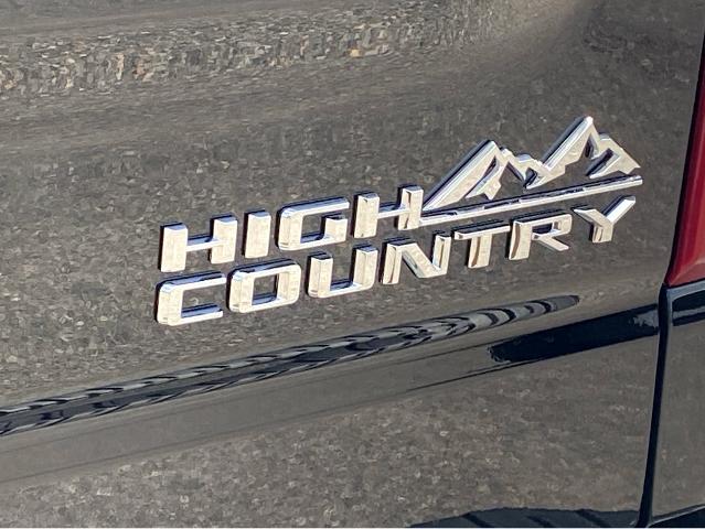 2025 Chevrolet Silverado 1500 Vehicle Photo in SAVANNAH, GA 31406-4513