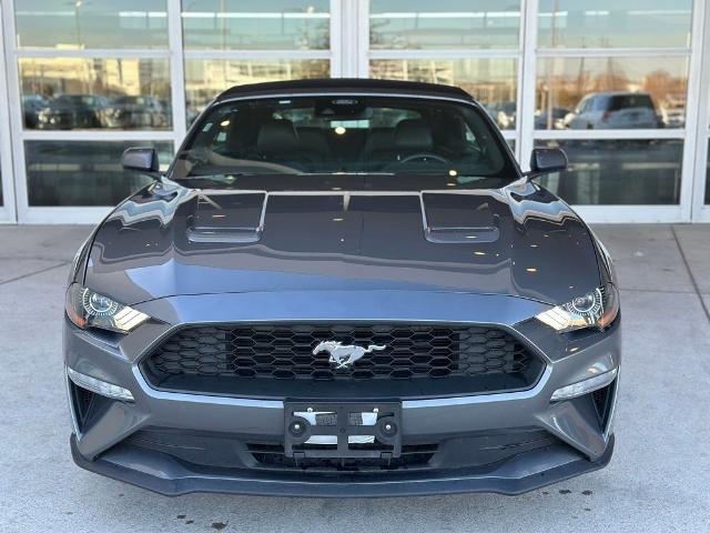 2022 Ford Mustang Vehicle Photo in San Antonio, TX 78230