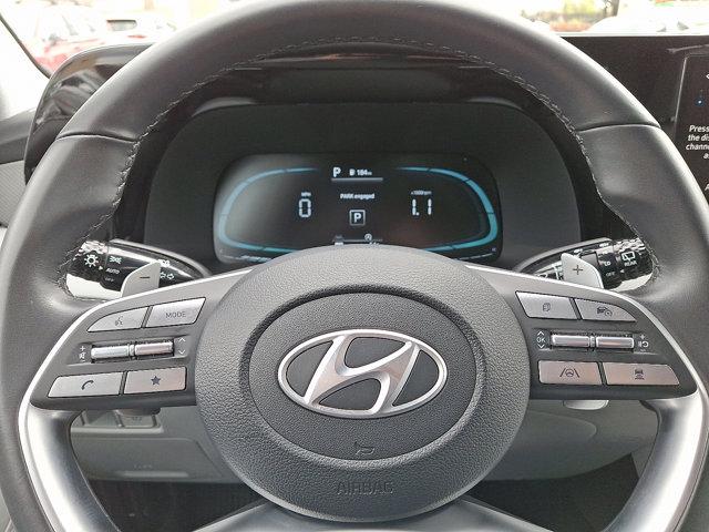 2024 Hyundai PALISADE Vehicle Photo in Philadelphia, PA 19116