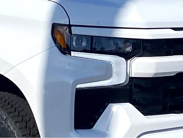 2025 Chevrolet Silverado 1500 Vehicle Photo in SAVANNAH, GA 31406-4513