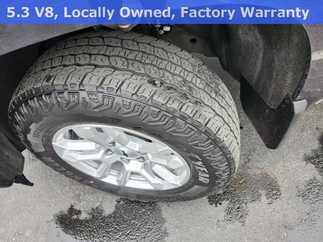 2023 Chevrolet Silverado 1500 Vehicle Photo in GREEN BAY, WI 54304-5303