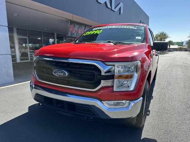2022 Ford F-150 Vehicle Photo in Tucson, AZ 85712