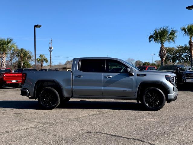 2025 GMC Sierra 1500 Vehicle Photo in BEAUFORT, SC 29906-4218