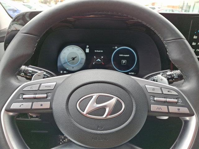 2024 Hyundai PALISADE Vehicle Photo in Philadelphia, PA 19116