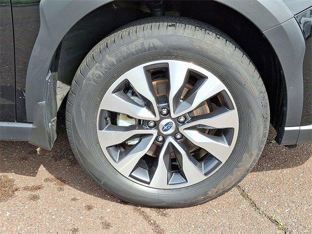 2024 Subaru Outback Vehicle Photo in Willow Grove, PA 19090