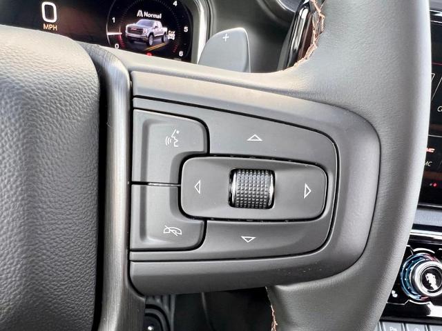 2025 GMC Sierra 1500 Vehicle Photo in EFFINGHAM, IL 62401-2832