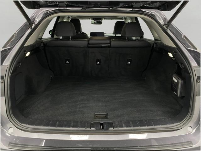 2022 Lexus RX 350 Vehicle Photo in Appleton, WI 54913