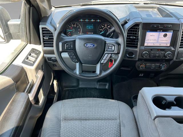 2019 Ford F-150 Vehicle Photo in Brunswick, GA 31525