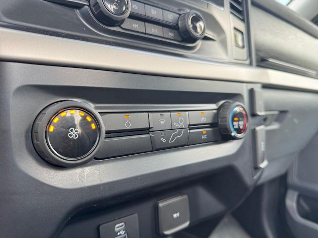 2021 Ford F-150 Vehicle Photo in Savannah, GA 31419