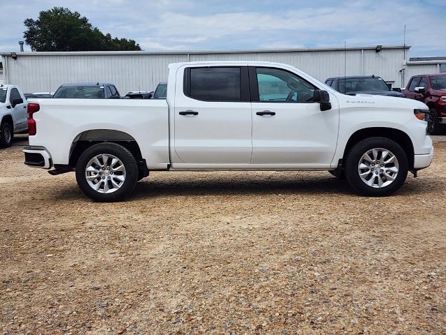 2025 Chevrolet Silverado 1500 Vehicle Photo in PARIS, TX 75460-2116