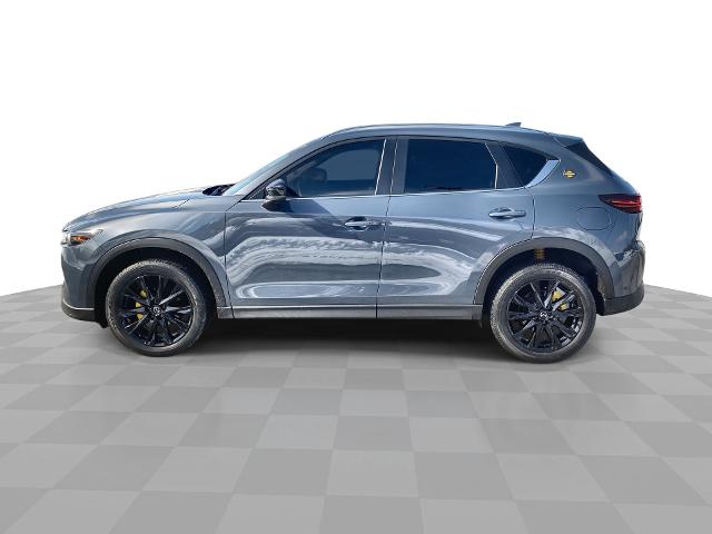 2022 Mazda CX-5 Vehicle Photo in WILLIAMSVILLE, NY 14221-2883