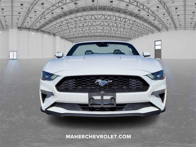 Used 2022 Ford Mustang EcoBoost Premium with VIN 1FATP8UH2N5119840 for sale in Saint Petersburg, FL