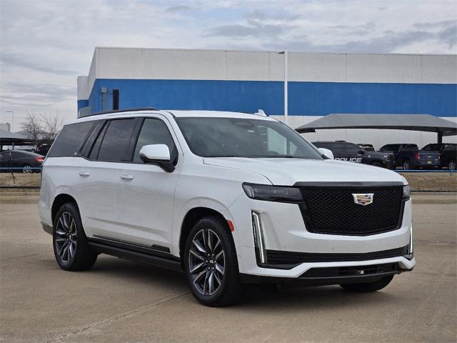 2021 Cadillac Escalade Vehicle Photo in Oklahoma City, OK 73114