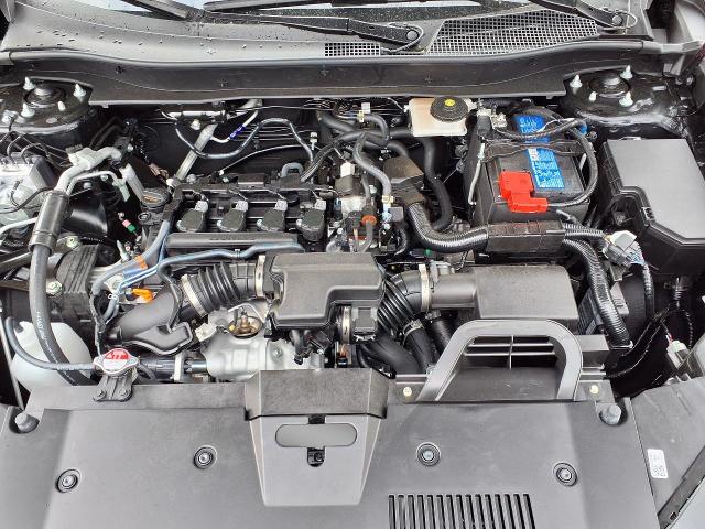 2026 Honda CR-V Vehicle Photo in Oshkosh, WI 54904