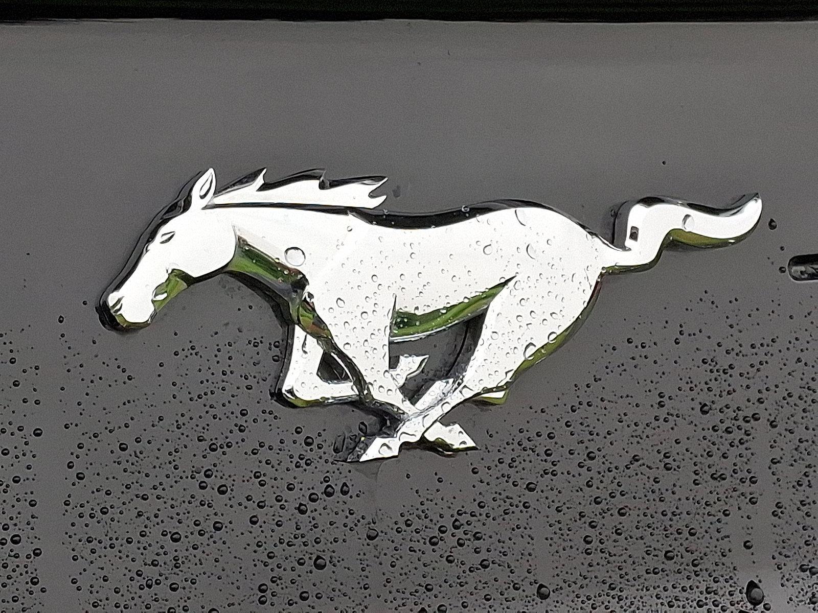 2023 Ford Mustang Vehicle Photo in Easton, PA 18045