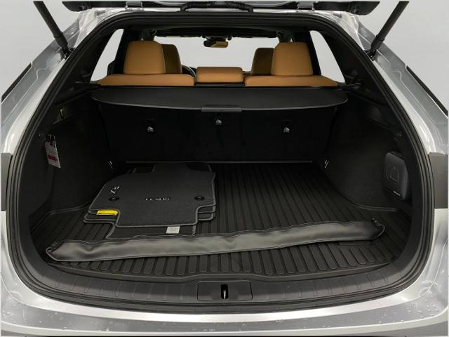 2025 Lexus RX 350 Vehicle Photo in Appleton, WI 54913