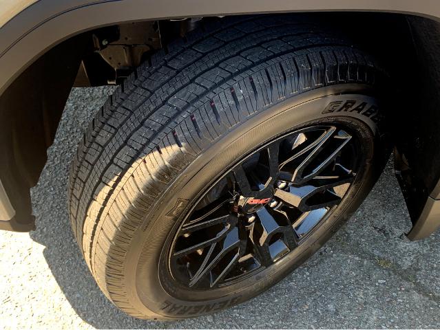 2025 GMC Sierra 1500 Vehicle Photo in BEAUFORT, SC 29906-4218