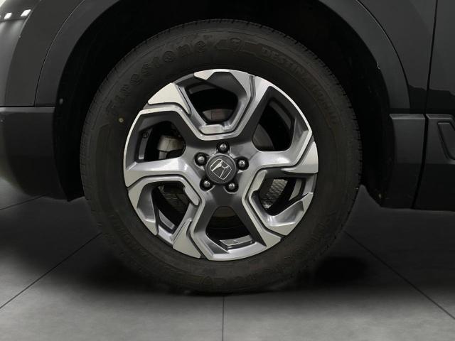 2019 Honda CR-V Vehicle Photo in Appleton, WI 54913