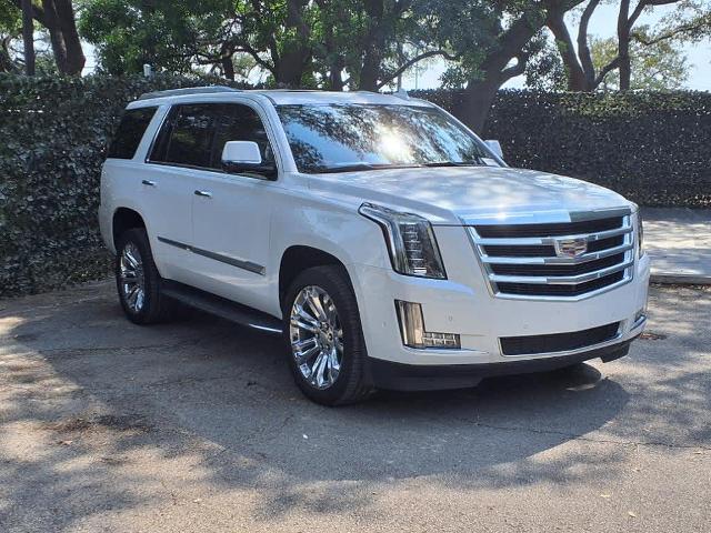 2020 Cadillac Escalade Vehicle Photo in San Antonio, TX 78230-1001