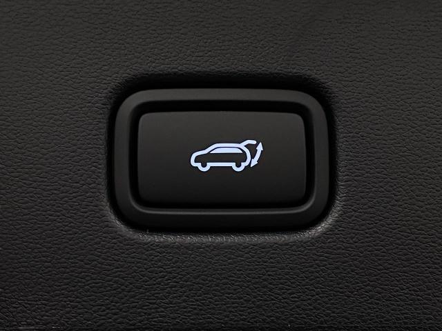2025 Hyundai TUCSON Vehicle Photo in Appleton, WI 54913
