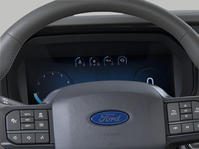 2025 Ford F-150 Vehicle Photo in Neenah, WI 54956