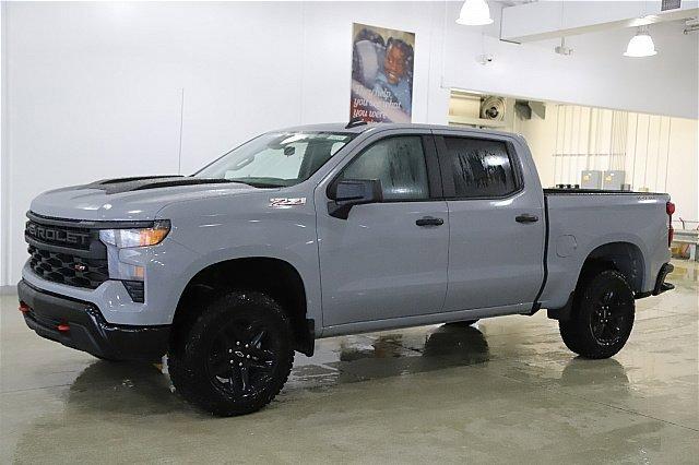 2025 Chevrolet Silverado 1500 Vehicle Photo in MEDINA, OH 44256-9001