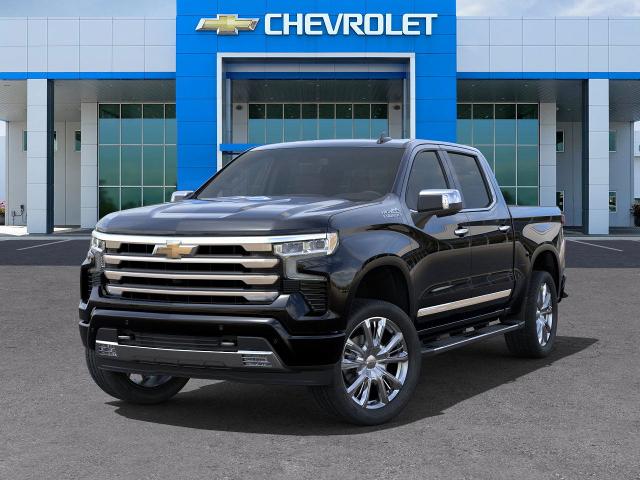 2025 Chevrolet Silverado 1500 Vehicle Photo in SELMA, TX 78154-1460