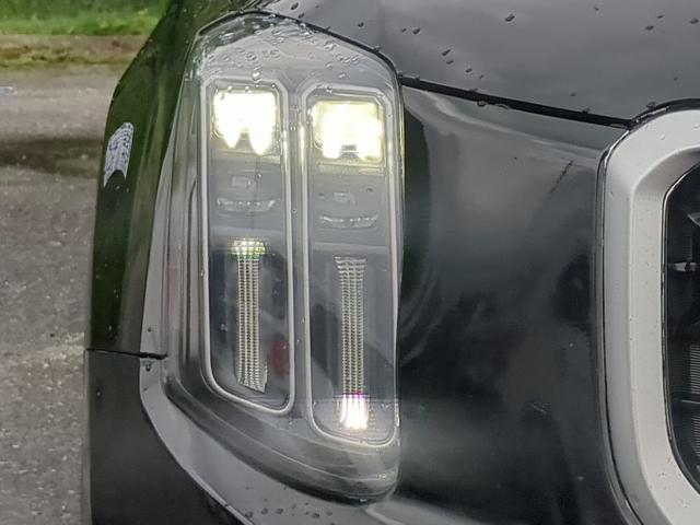 2023 Kia Telluride Vehicle Photo in Brunswick, GA 31525