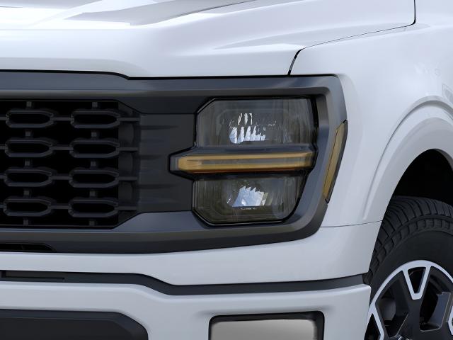 2025 Ford F-150 Vehicle Photo in Oshkosh, WI 54901