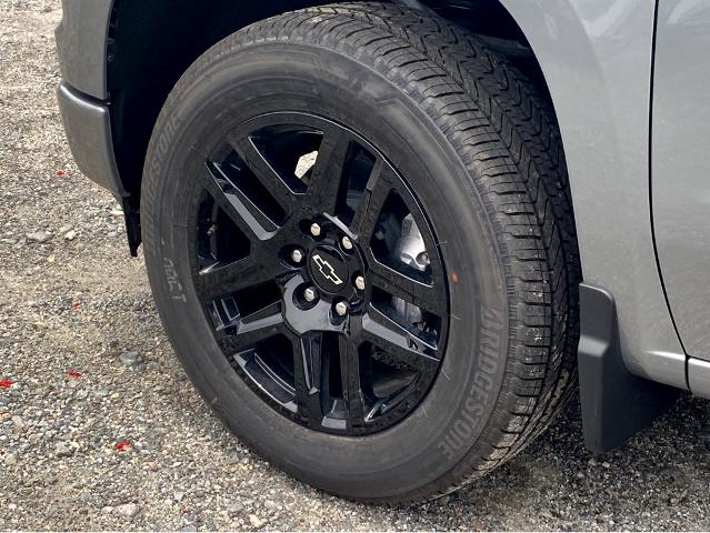 2025 Chevrolet Silverado 1500 Vehicle Photo in SAVANNAH, GA 31406-4513
