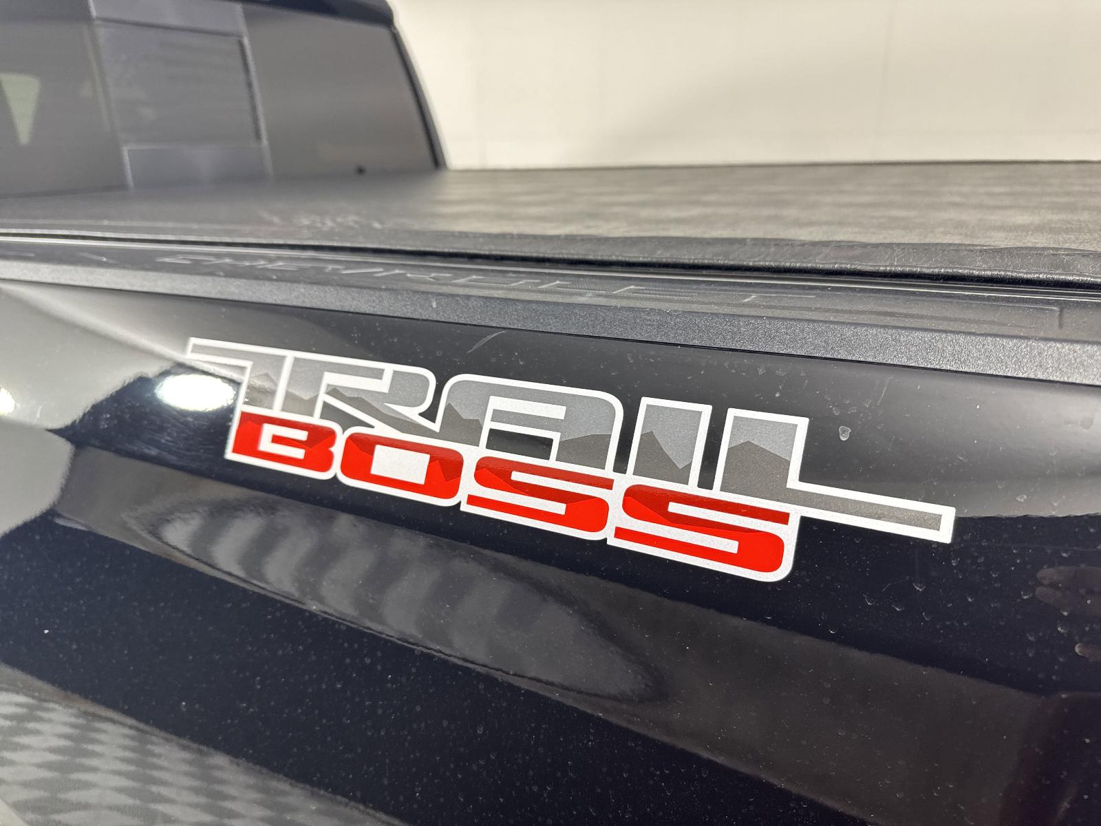 2020 Chevrolet Silverado 1500 Vehicle Photo in GEORGETOWN, TX 78626-7508