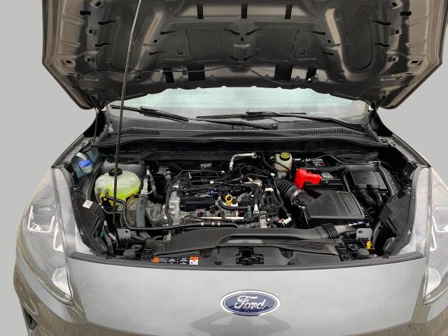 2021 Ford Escape Vehicle Photo in Oshkosh, WI 54901