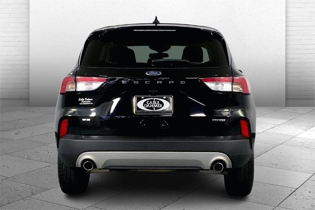 2022 Ford Escape Vehicle Photo in Kansas City, MO 64114