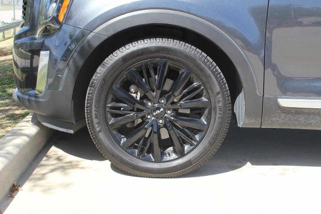 2022 Kia Telluride Vehicle Photo in DALLAS, TX 75209