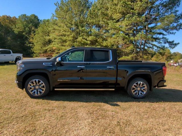 2025 GMC Sierra 1500 Vehicle Photo in ALBERTVILLE, AL 35950-0246